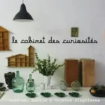LE CABINET DES CURIOSITÉS